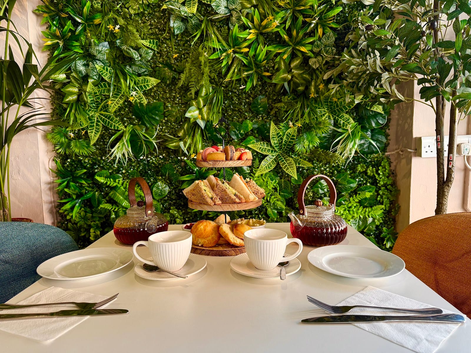 The Coffee Tree