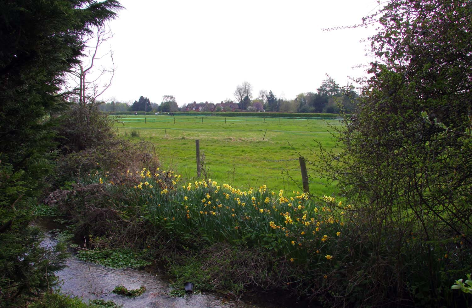 Flowerland Garden Centre photo 2