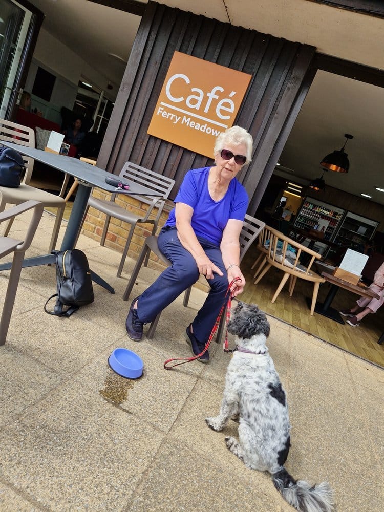 Ferry Meadows Cafe photo 4