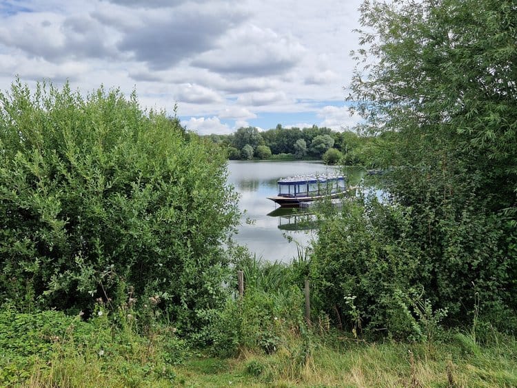 Ferry Meadows Cafe photo 8