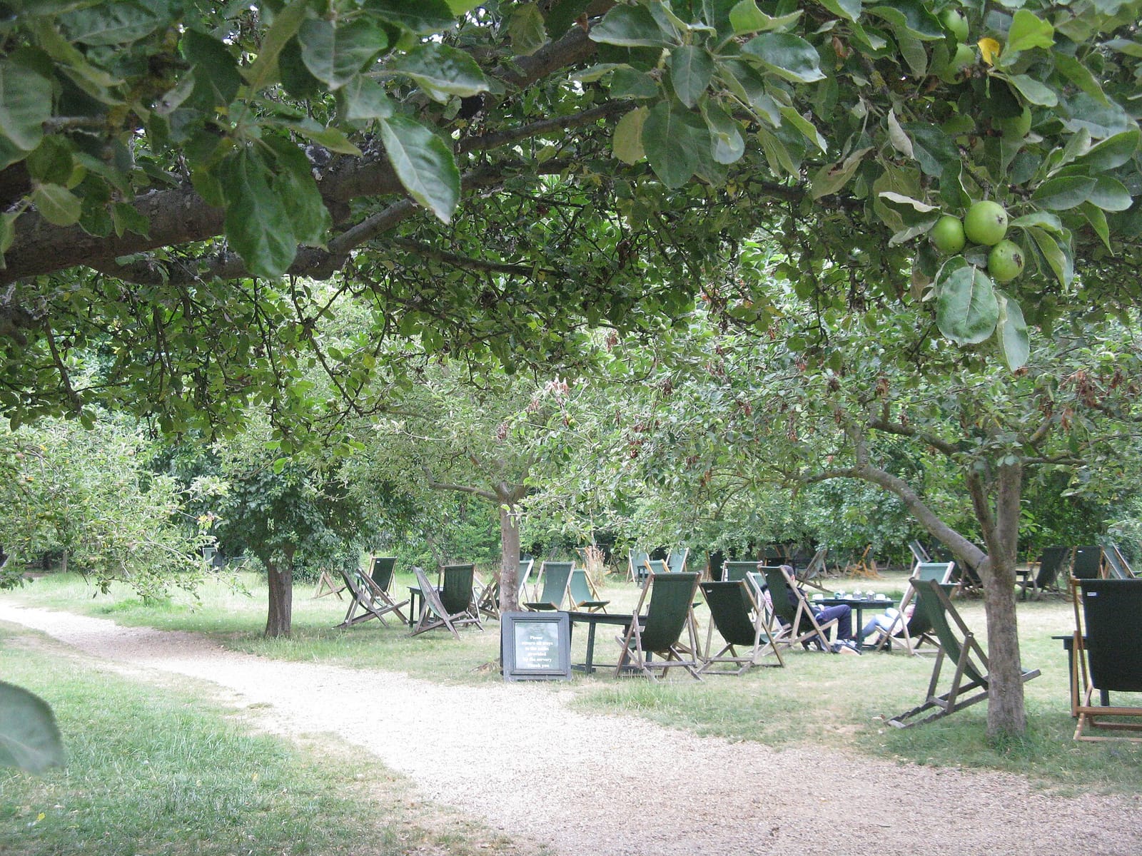 The Orchard photo 2