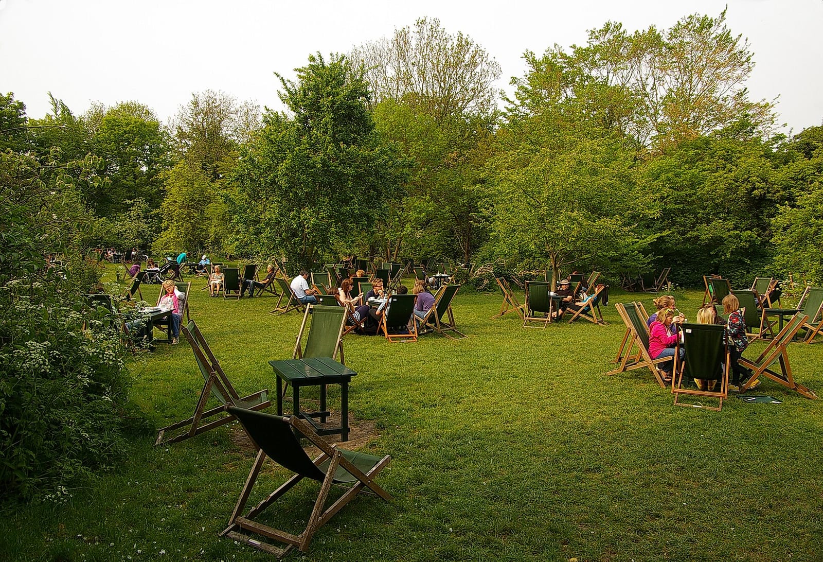 The Orchard photo 3