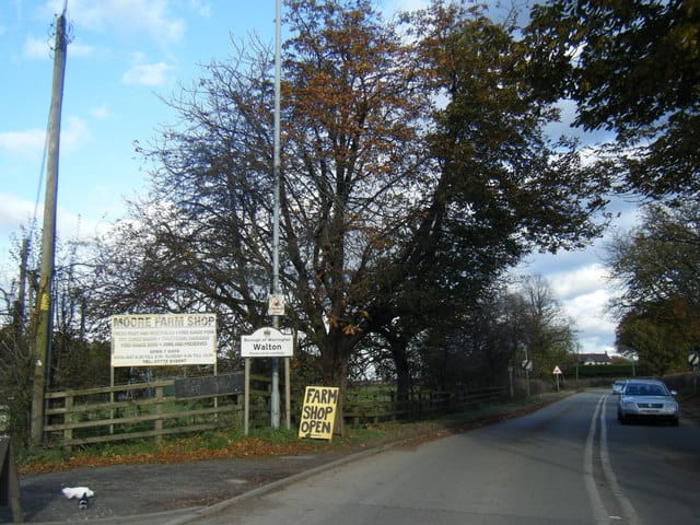 The Shed