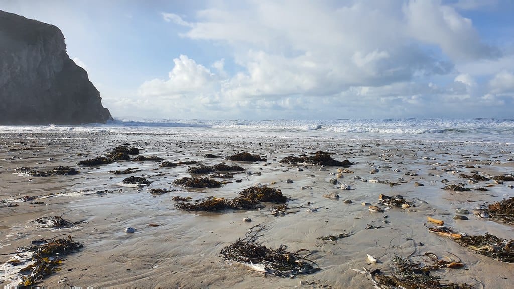 Moomaid of Zennor photo 4