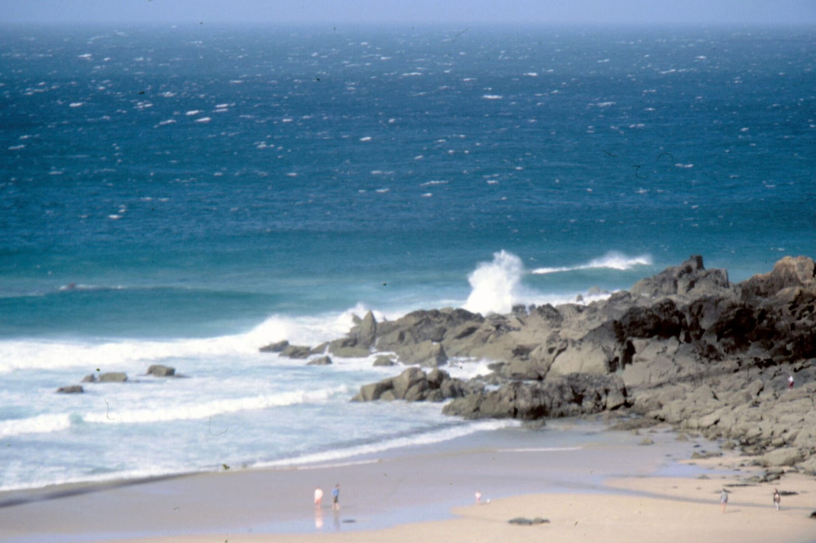 Porthmeor Beach Cafe photo 3