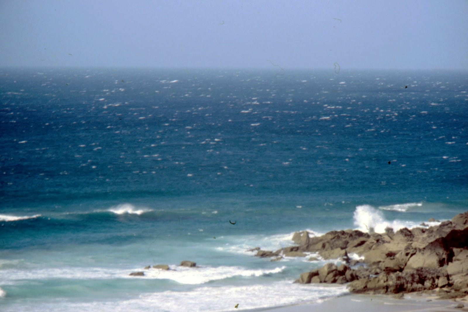 Porthmeor Beach Cafe photo 4