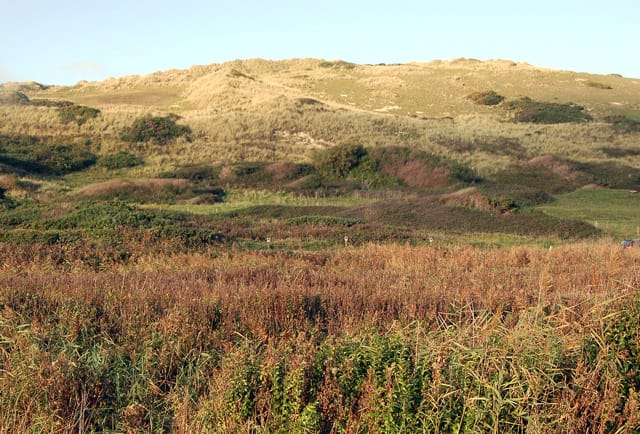 Godrevy Cafe photo 2