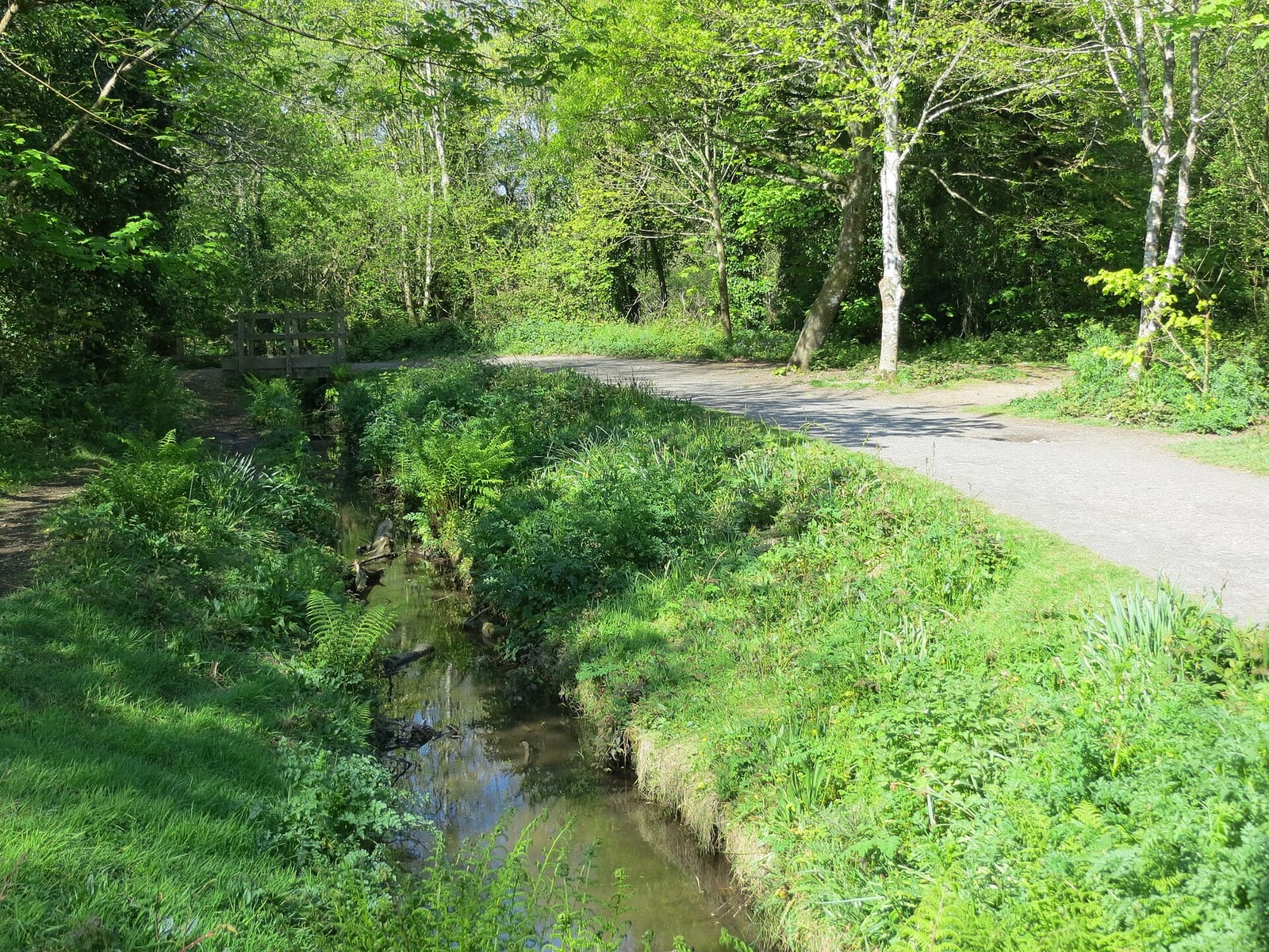 Tehidy Woods Cafe