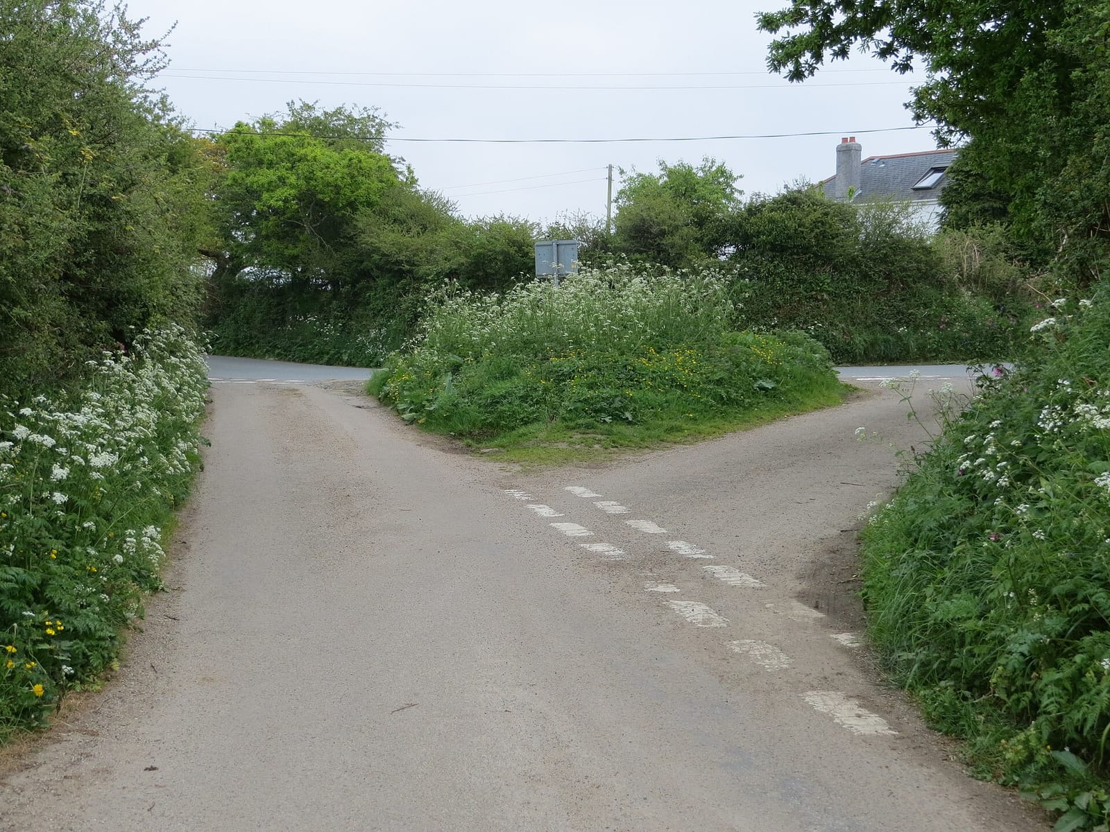 Potiger