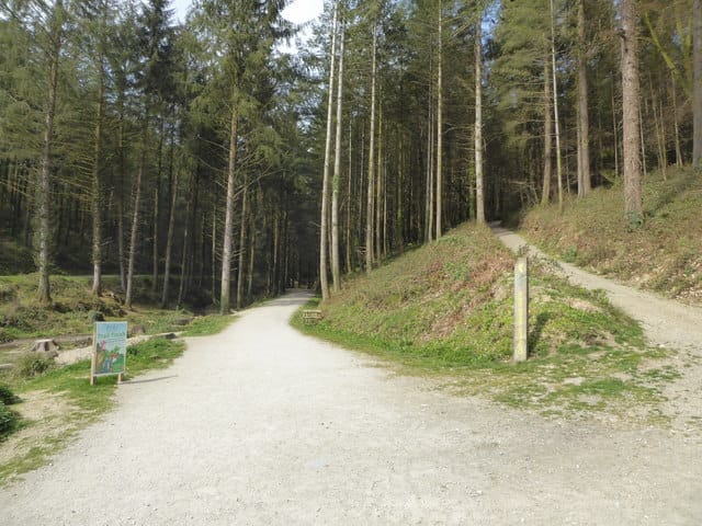 Woods Cafe