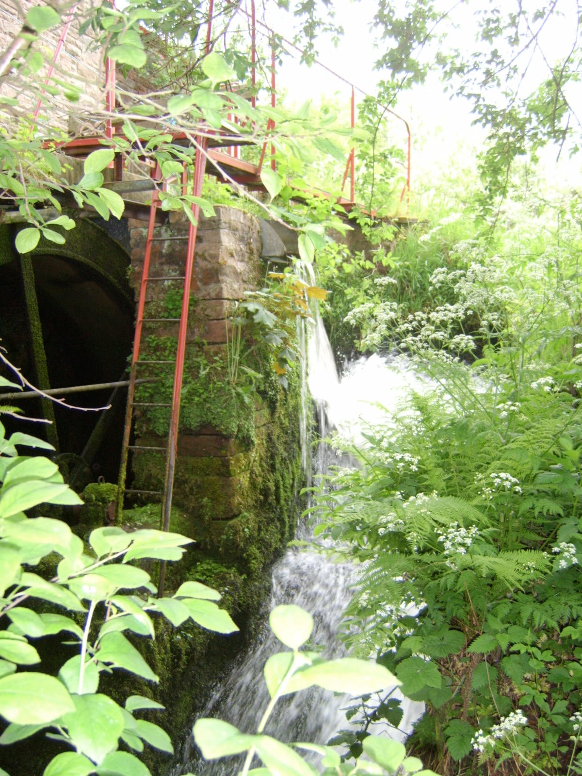 The Watermill Tearoom