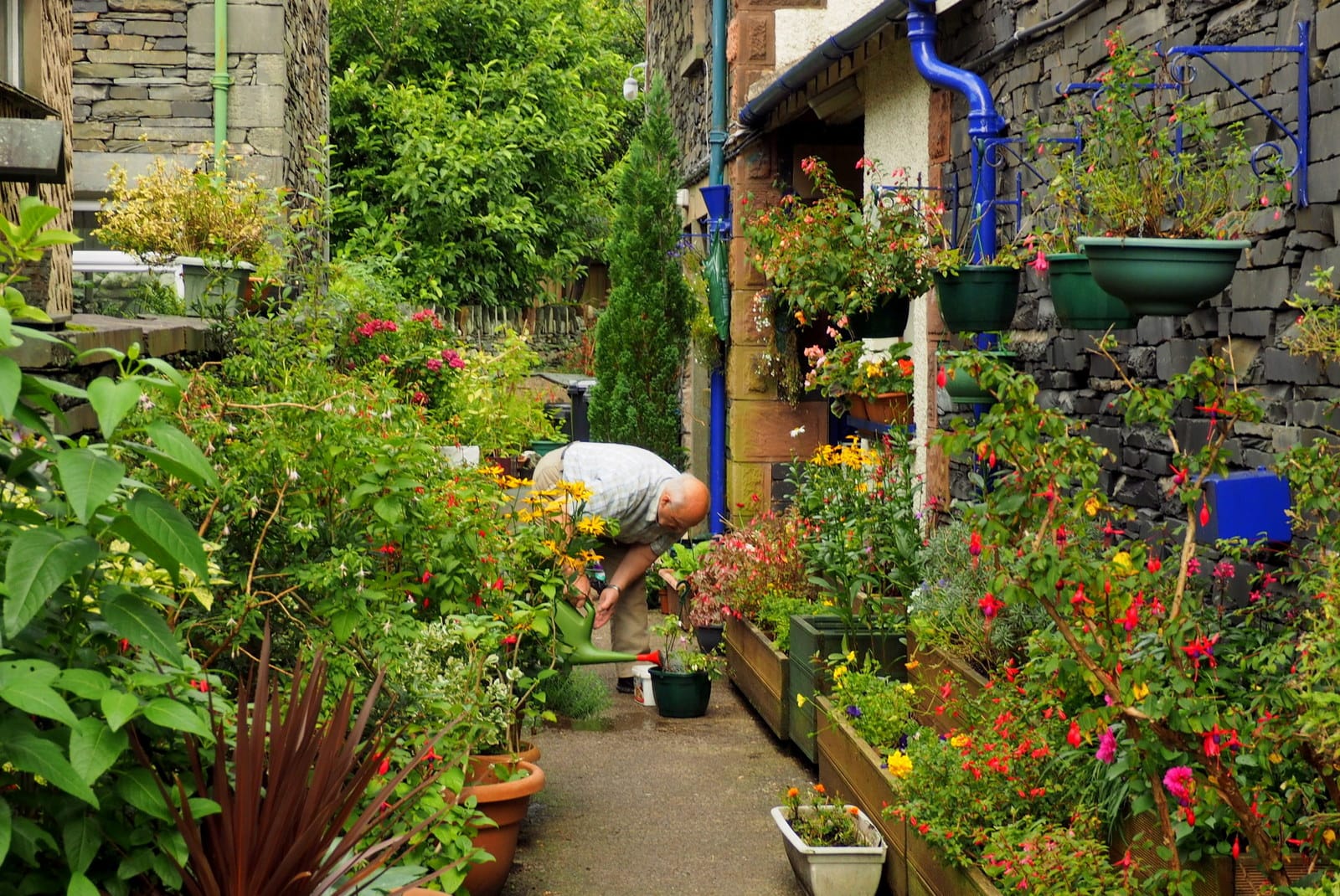 The Green Housekeeper photo 3