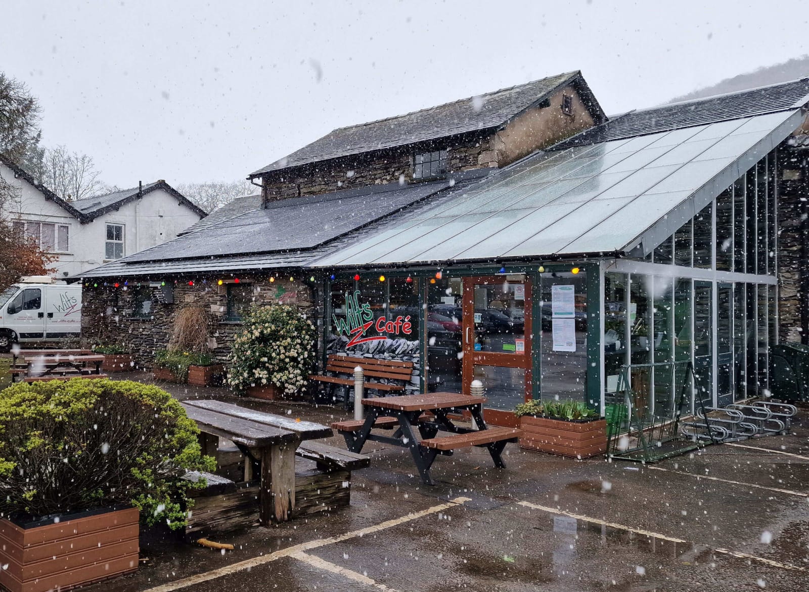 Wilf's Cafe