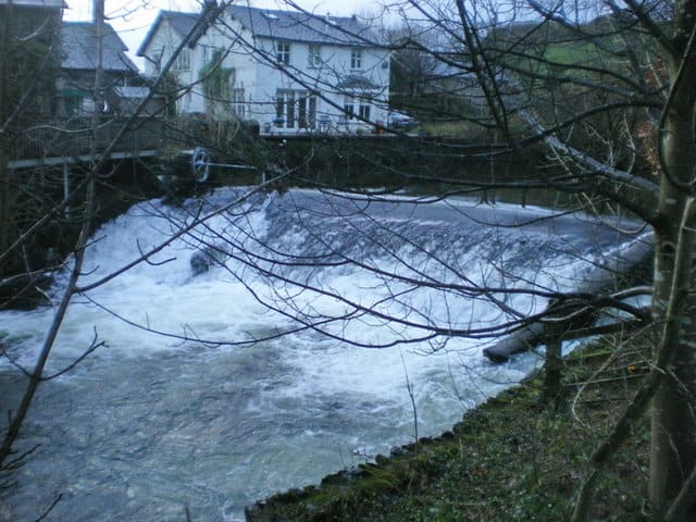 Wilf's Cafe photo 5