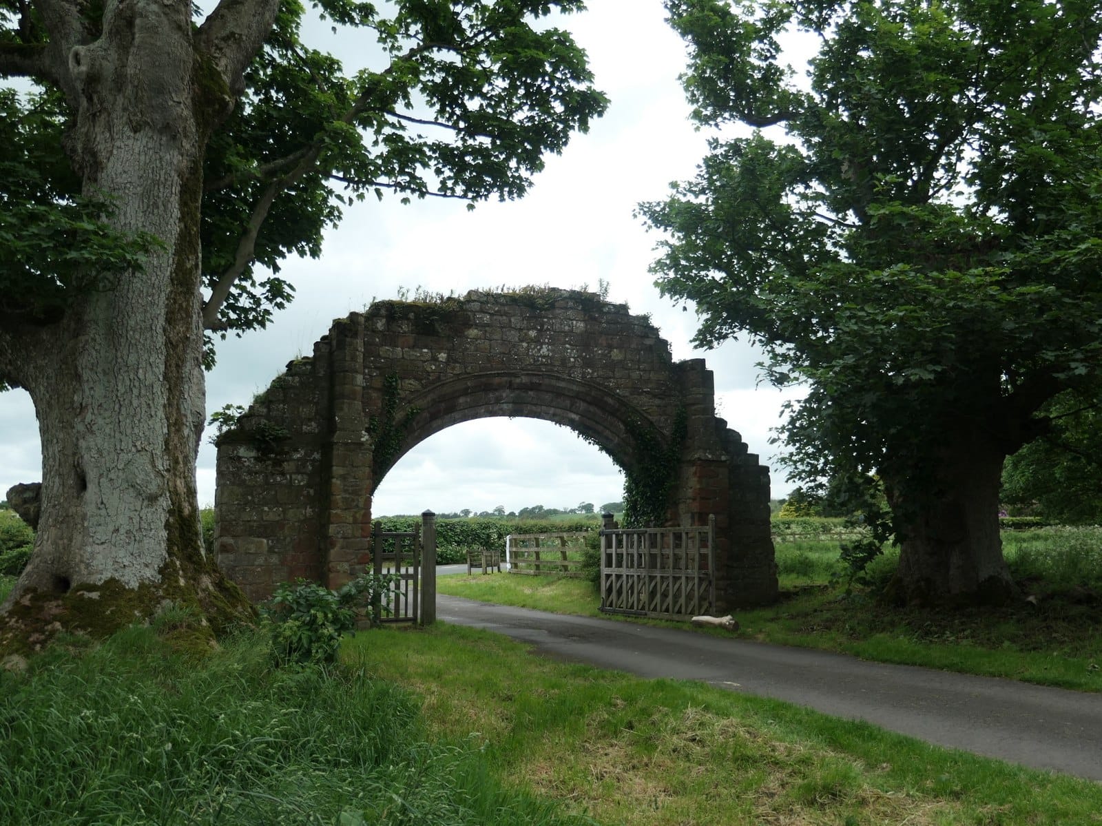 Lanercost Tea Rooms photo 3