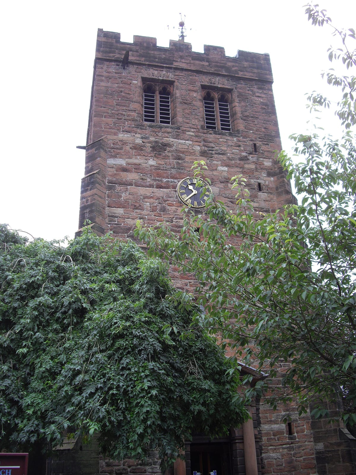 The Lemon Tree