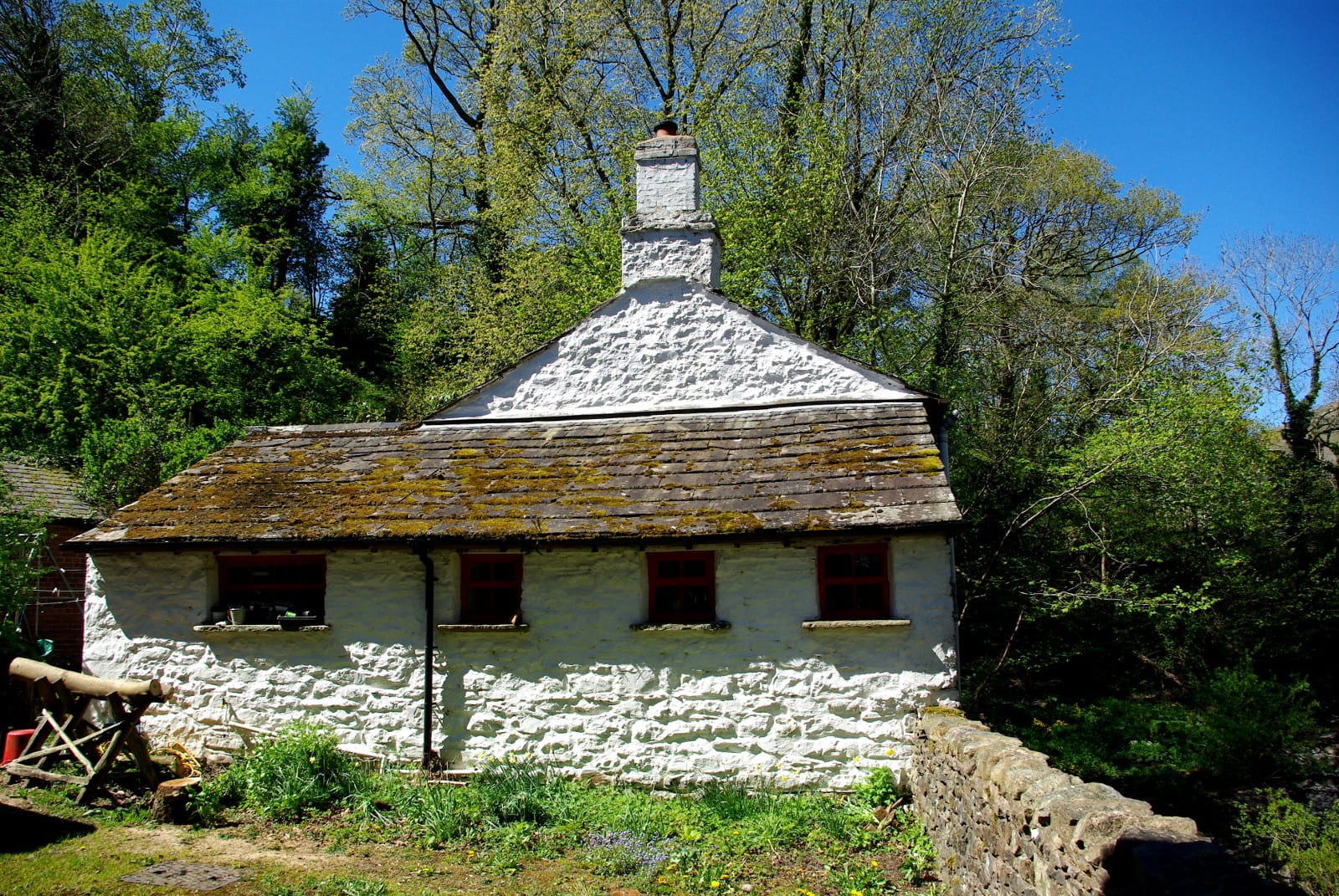 The Tea Room
