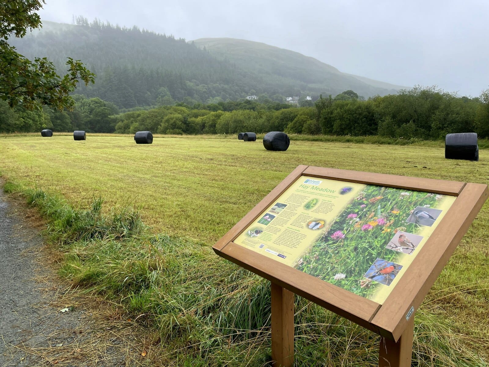 Bassenthwaite Lake Station photo 4