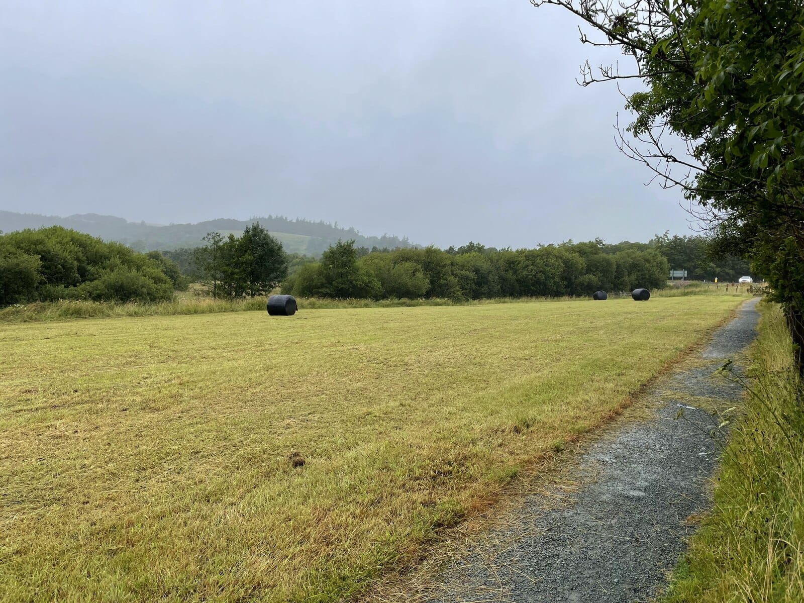 Bassenthwaite Lake Station photo 3