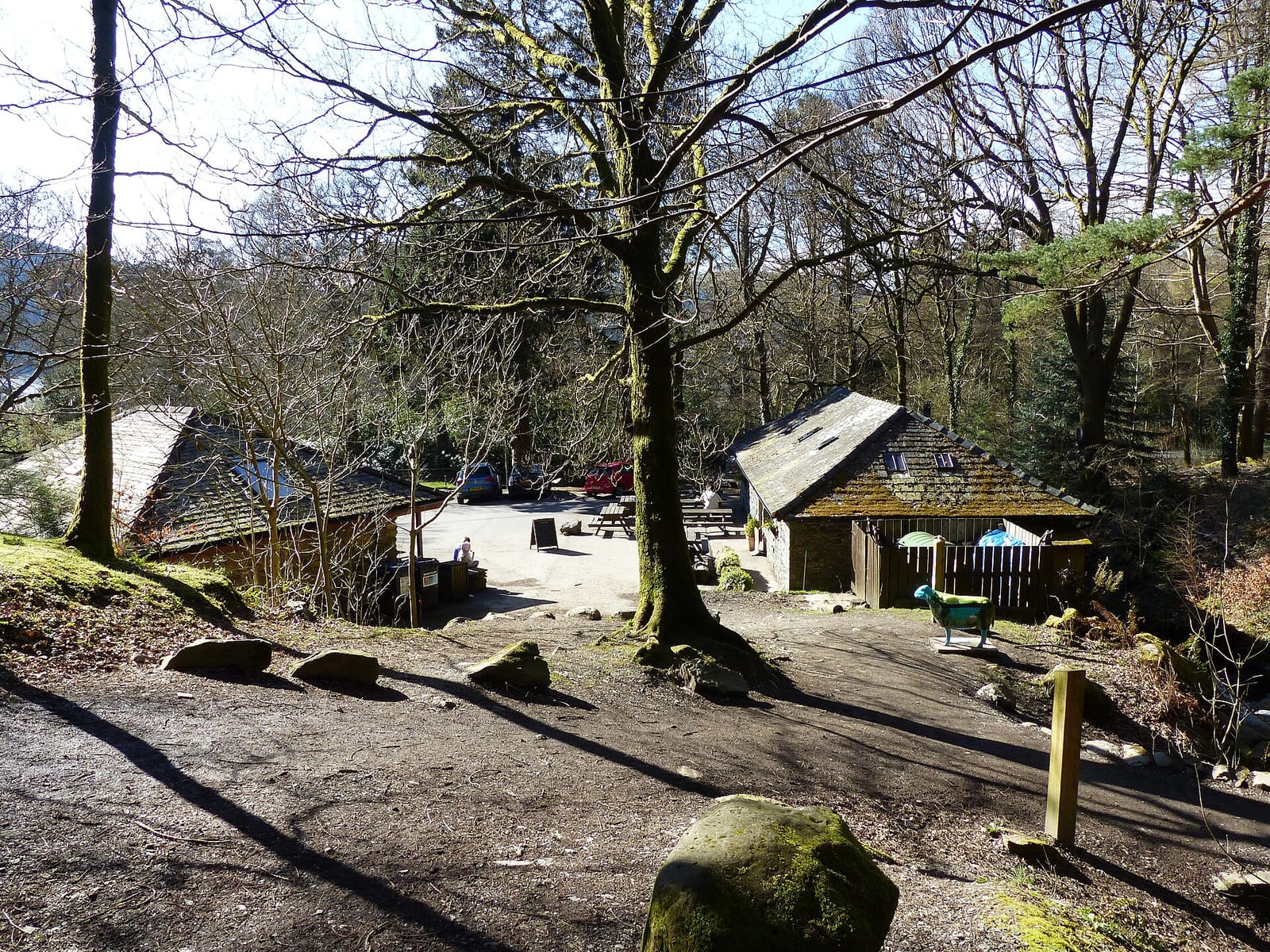 The Old Sawmill Tearoom photo 2
