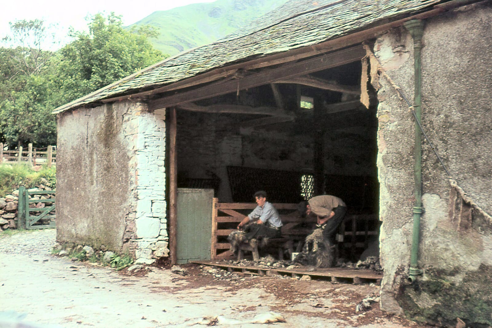 Croft House Farm Café