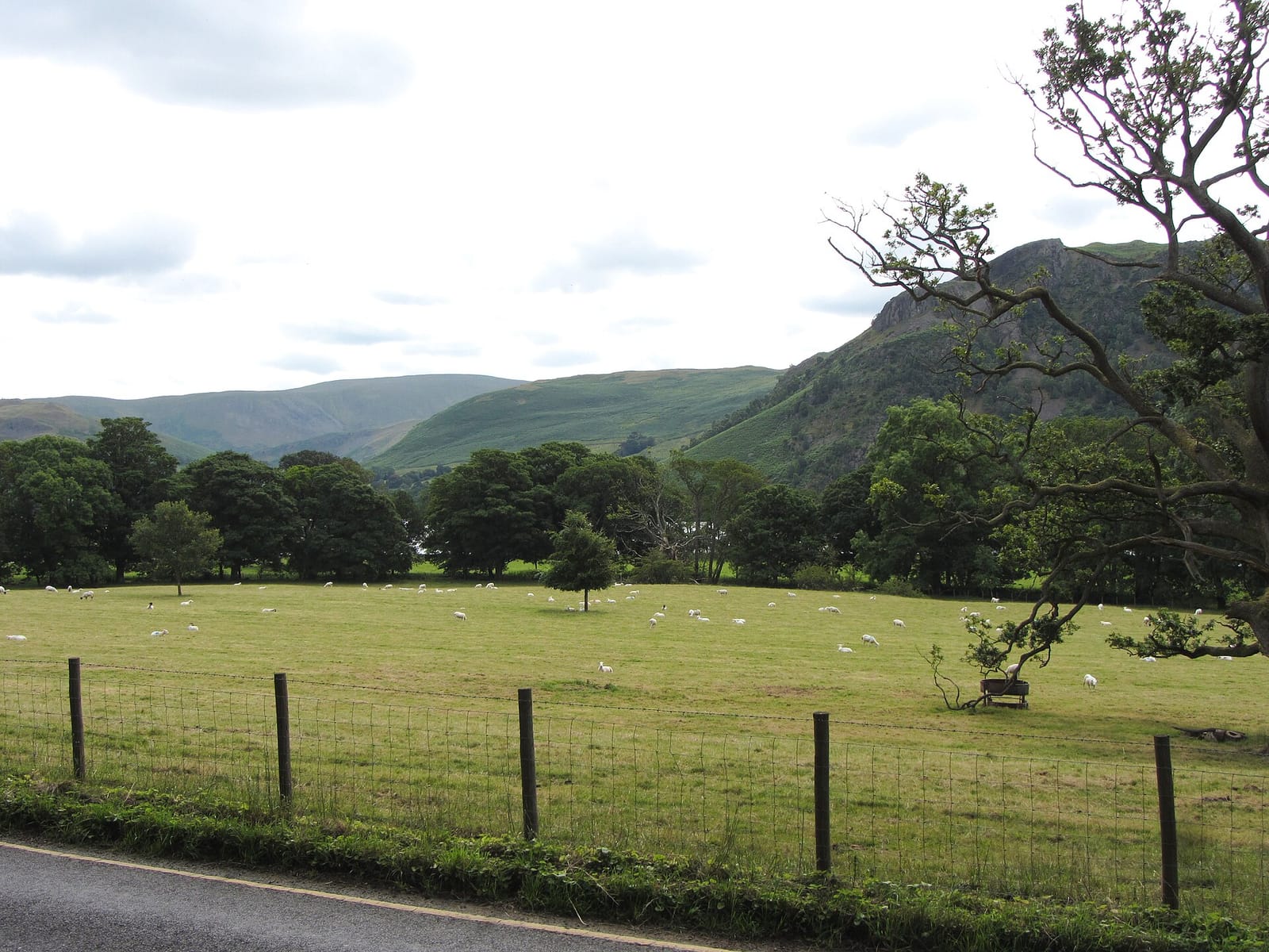 Aira Force Tearooms photo 3