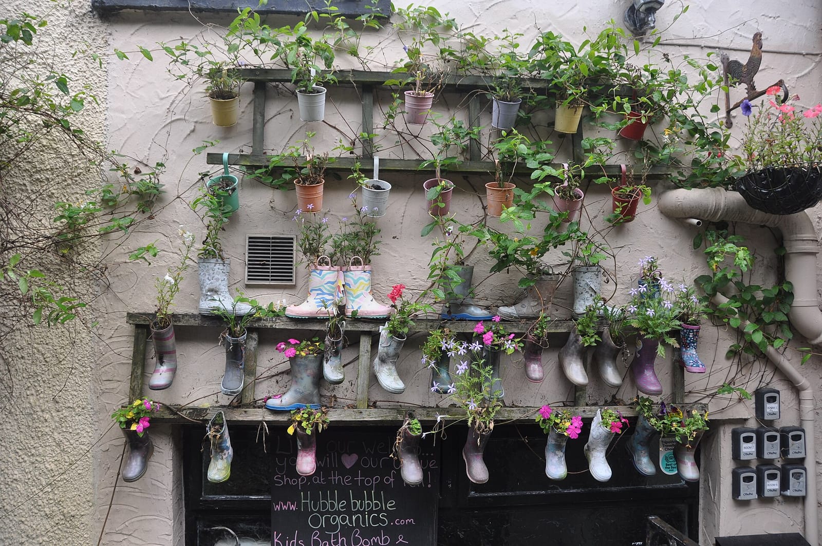 The Peter Rabbit Café photo 2