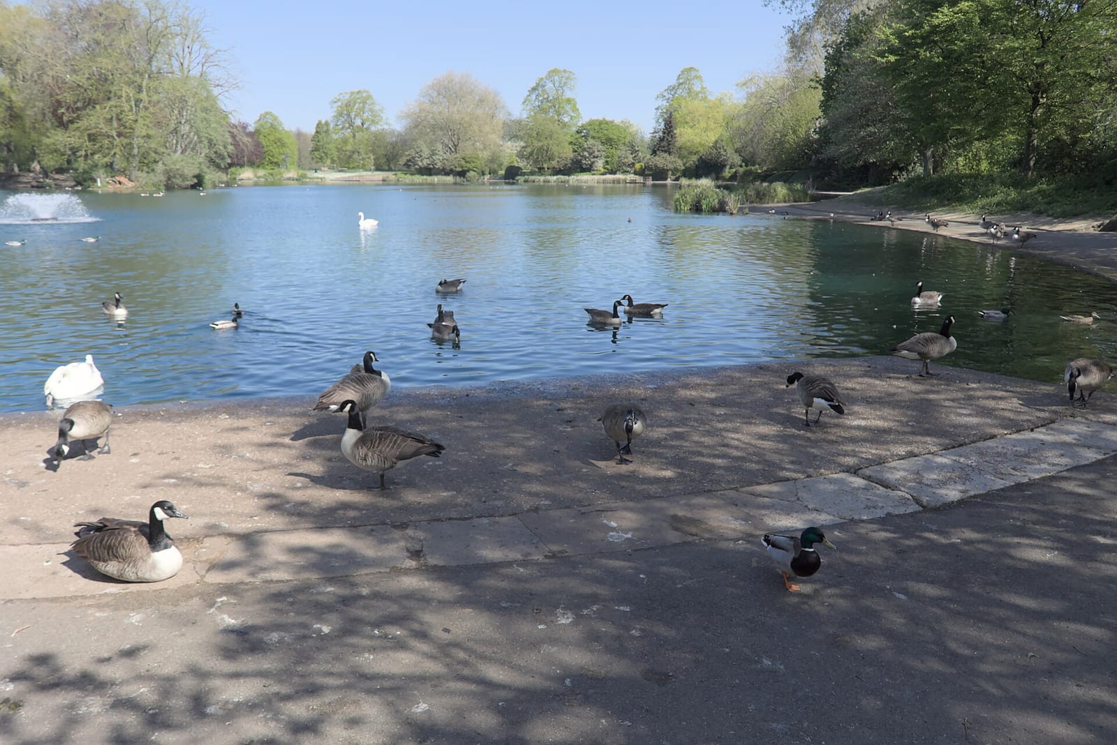 Waterside Cafe photo 6