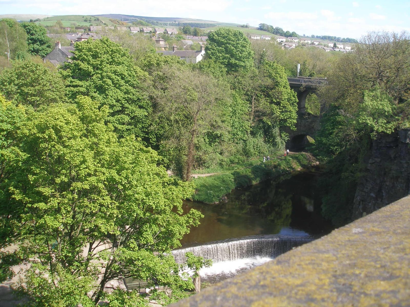 On The Bridge photo 4