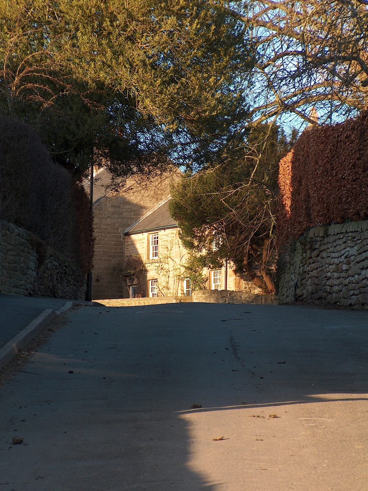 The Old Smithy photo 3