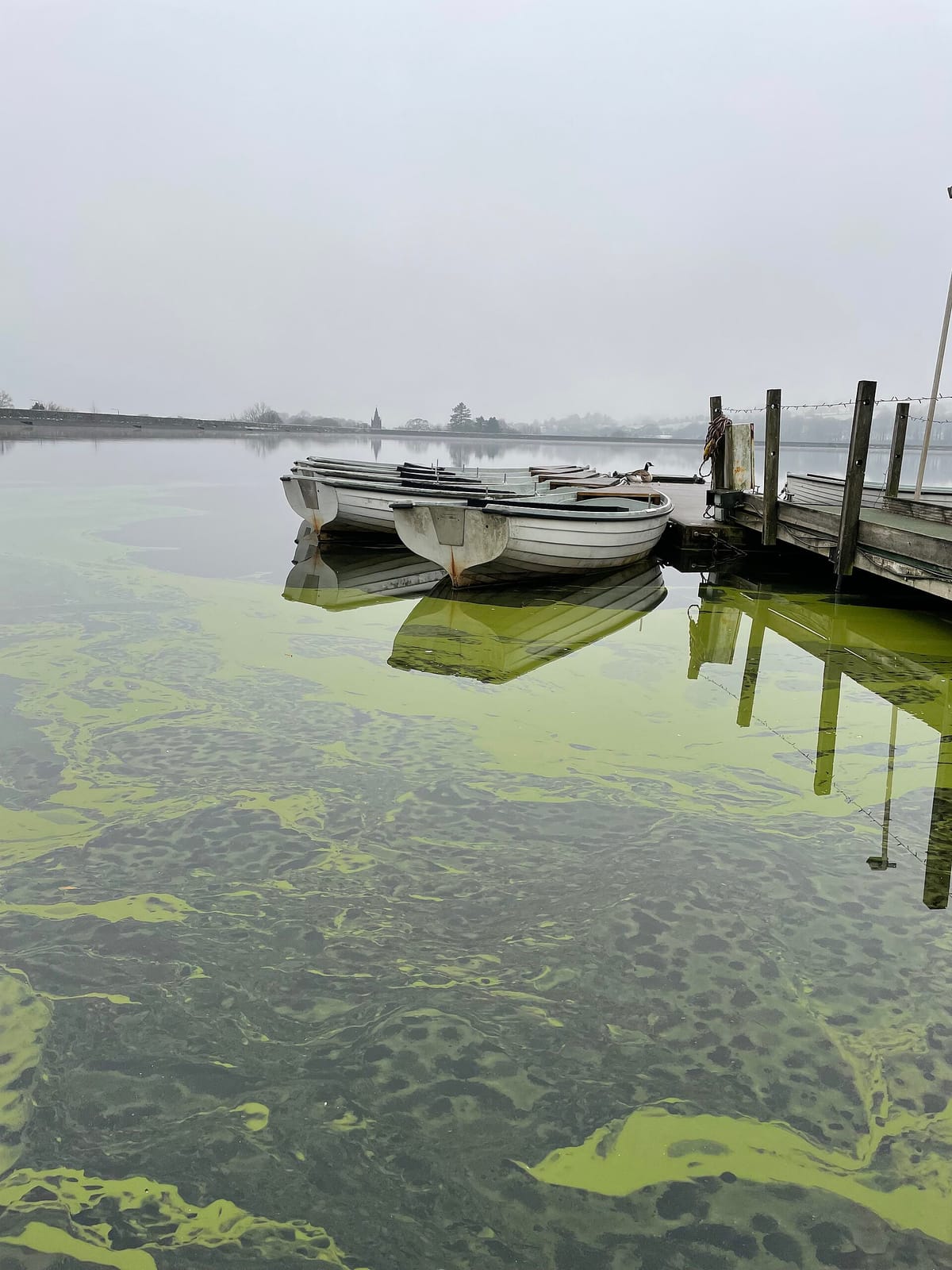 Arnfield Fly Fishery photo 2