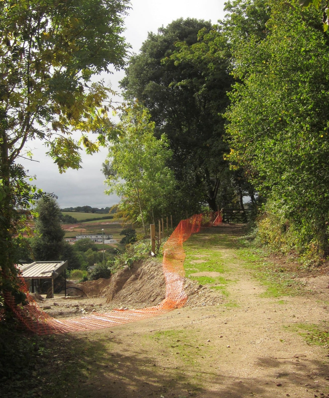 Romany Jones photo 4