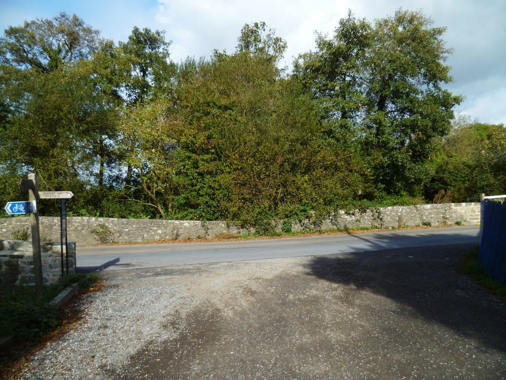 MT Tums Cafe photo 3