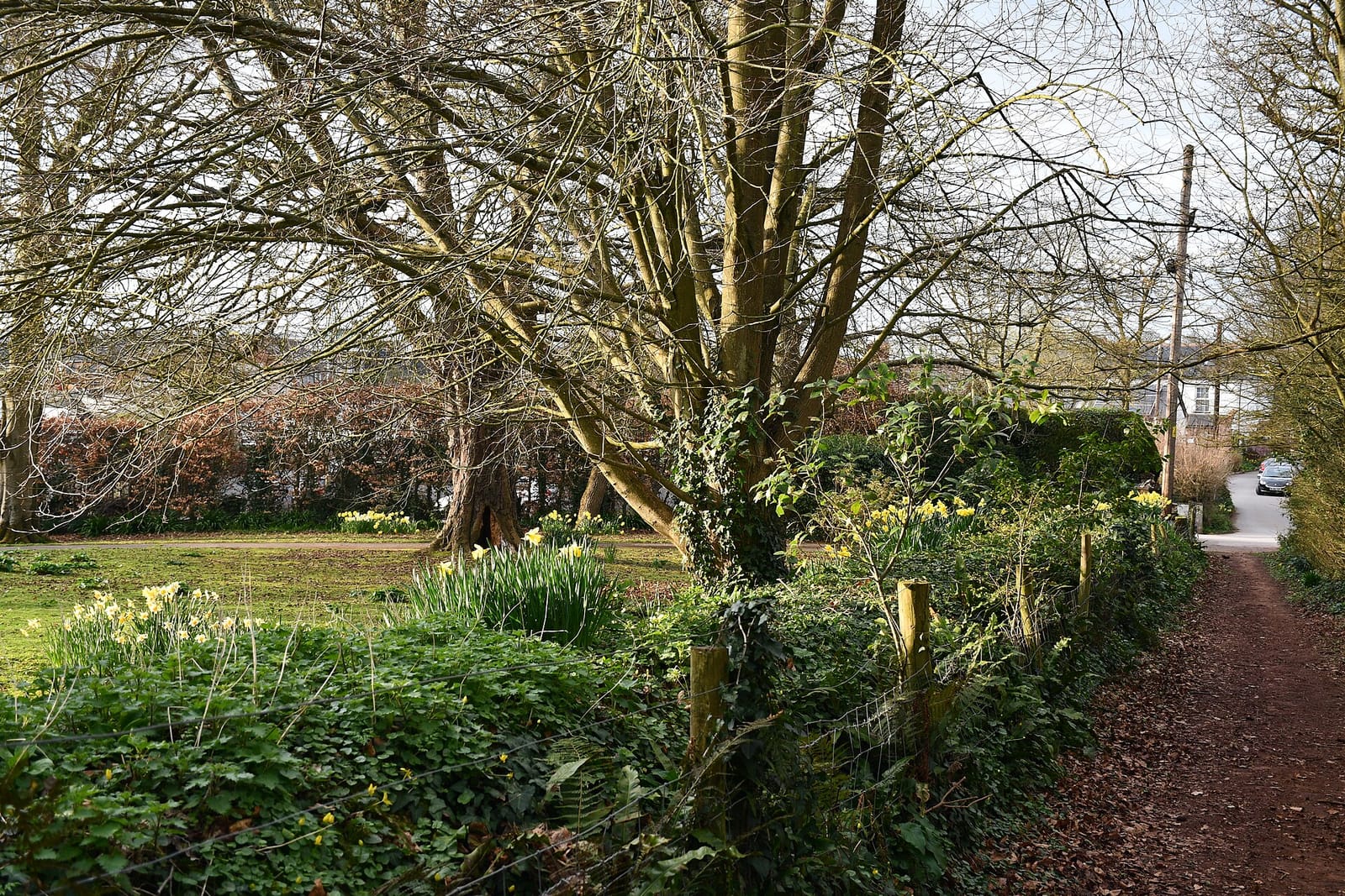 The Cuppa Cabin photo 4