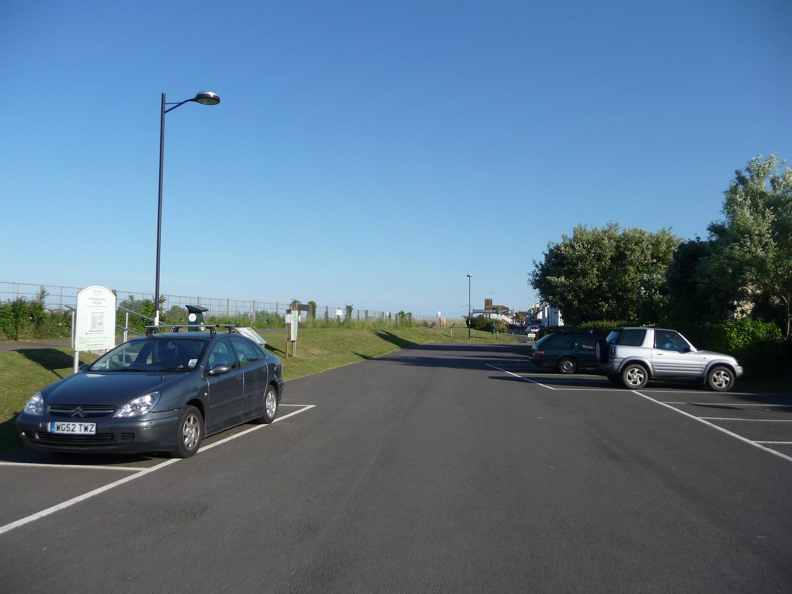 Teign Bean @ Starcross photo 3