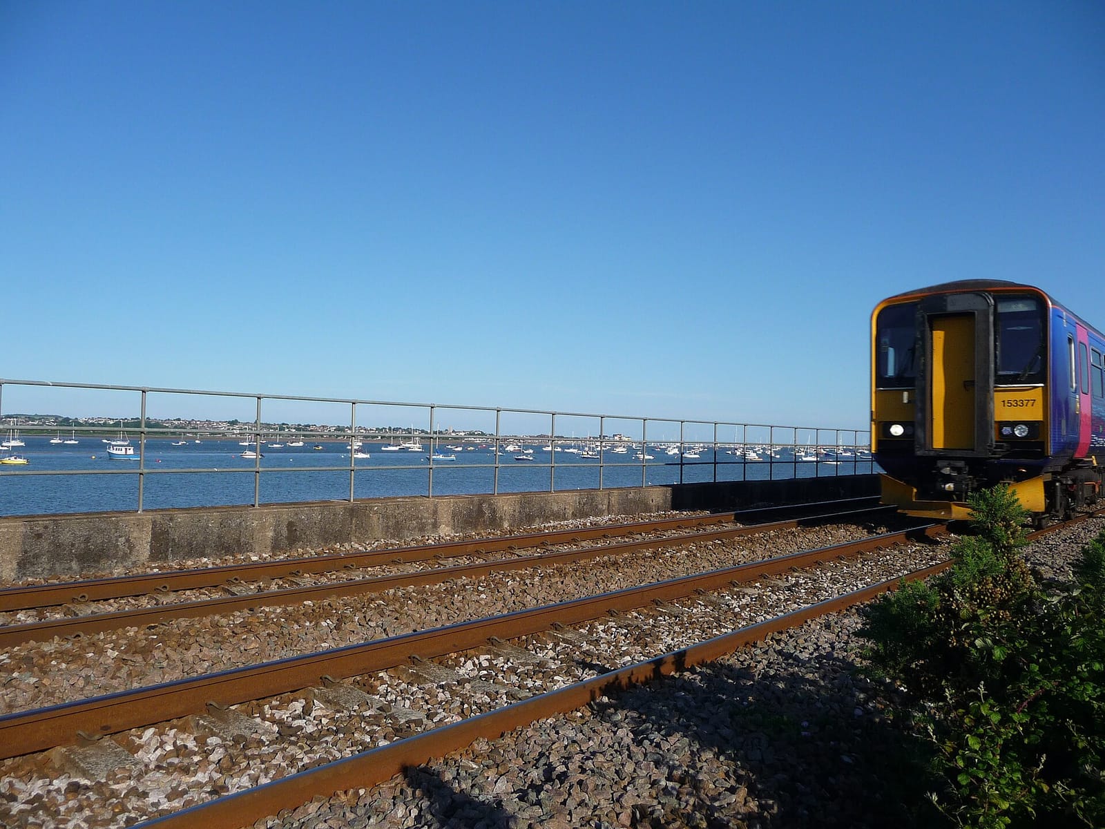 Teign Bean @ Starcross photo 4