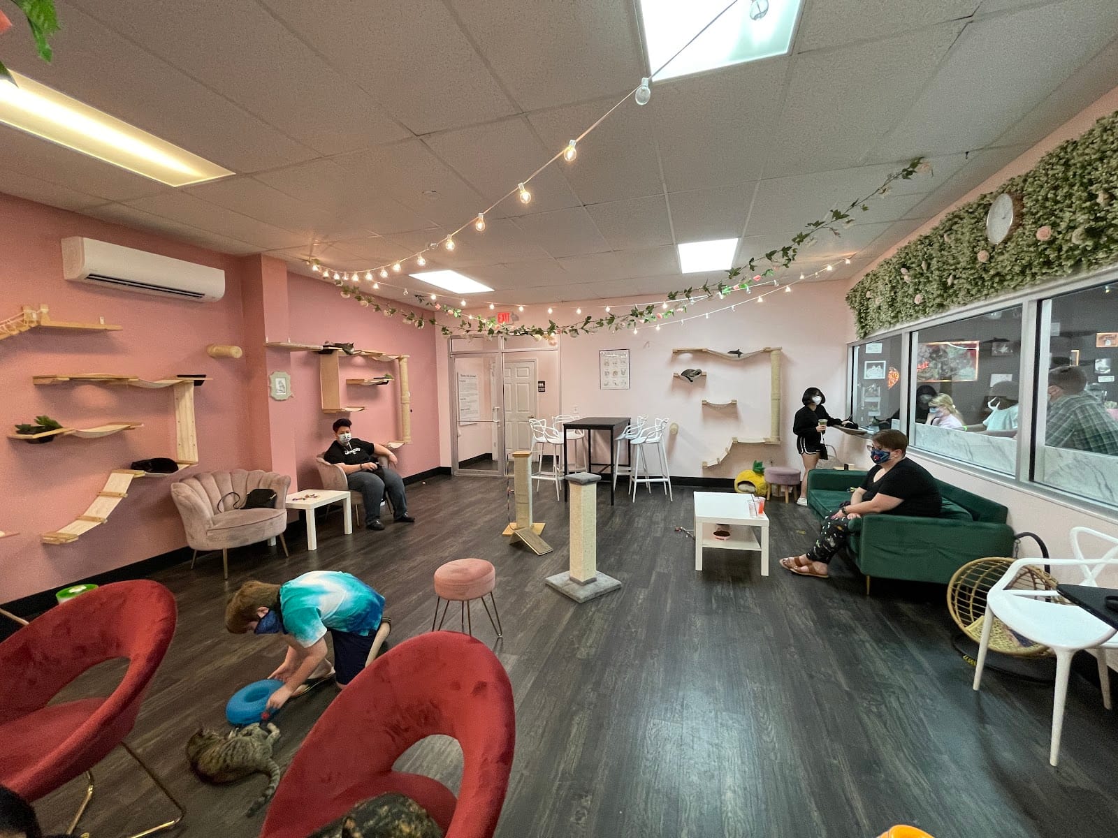 Tally Cat Cafe