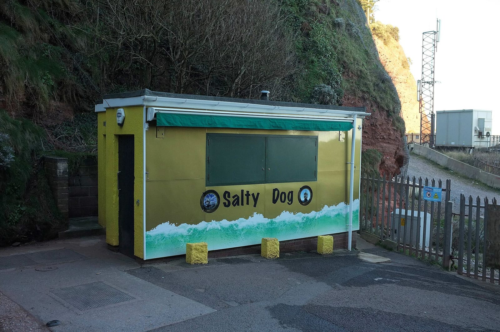Salty Dog Kiosk photo 4