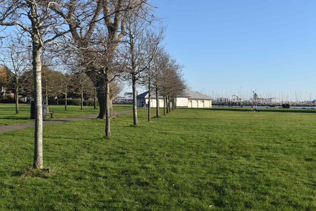 The Cafe in the Park photo 5