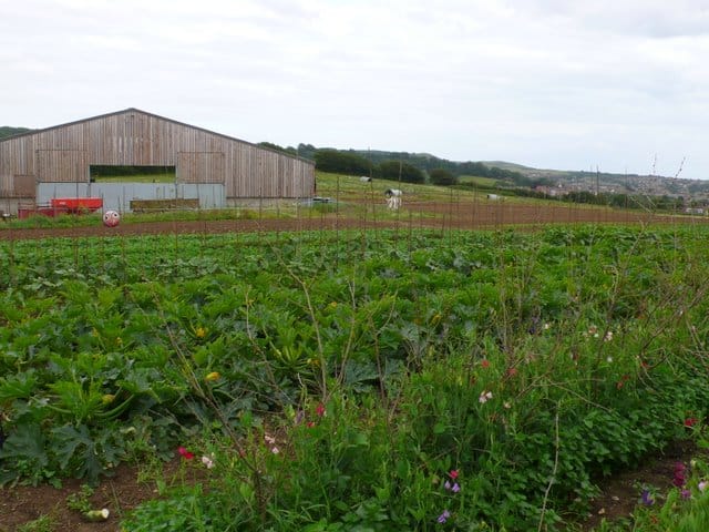 The Farmers' Kitchen photo 3