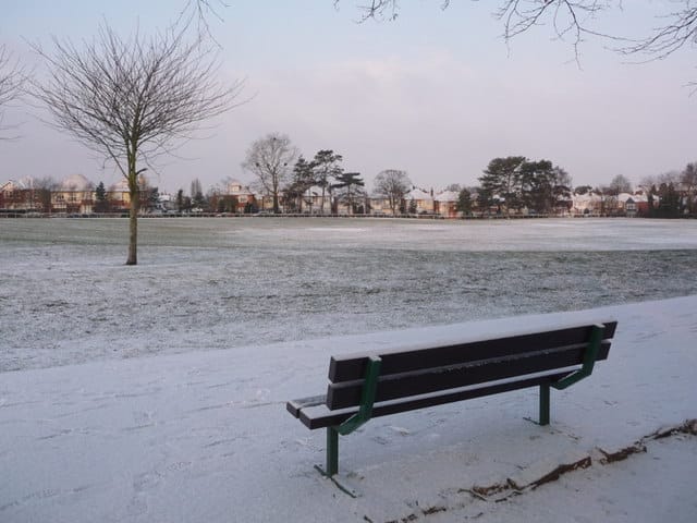Winton Park Cafe photo 4