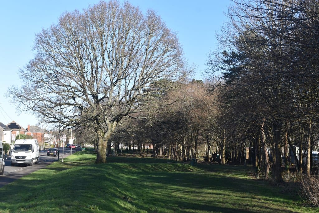 Redhill Park Cafe photo 4