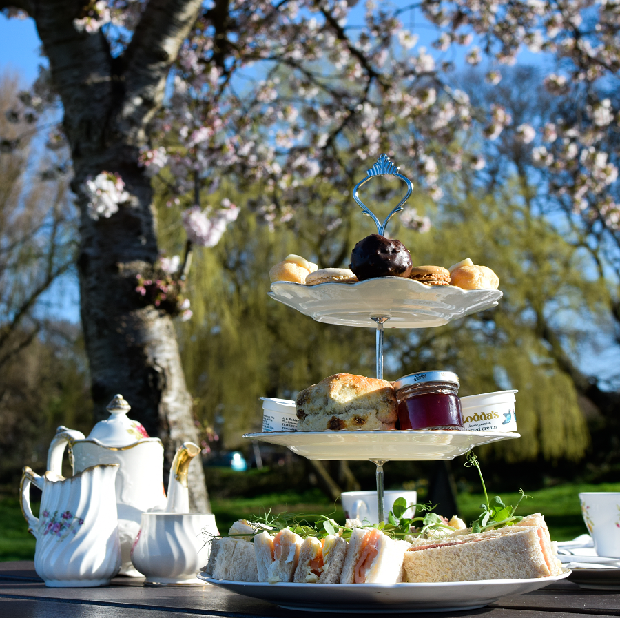 Tuckton Tea Gardens Cafe photo 5