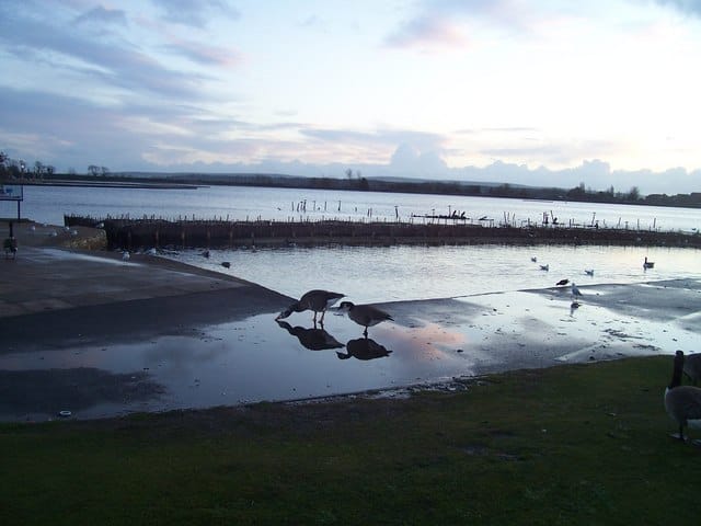 The Ark photo 5