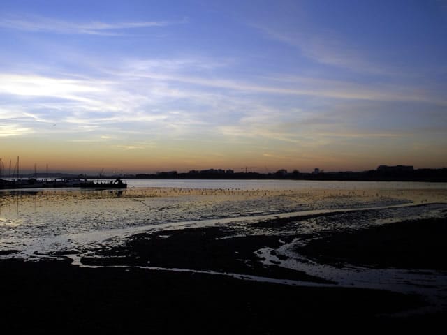 South Deep photo 3