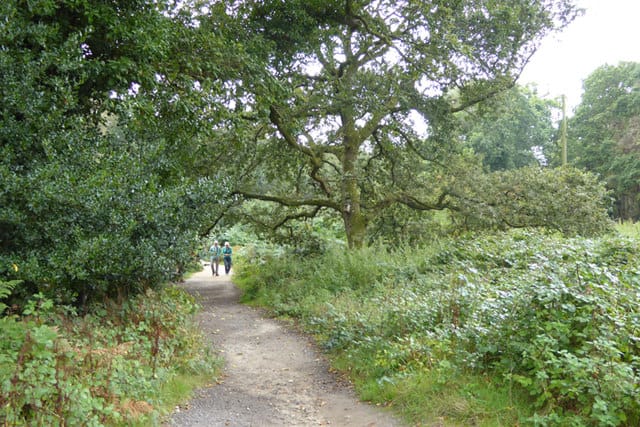 RSPB Arne Cafe & Shop photo 4