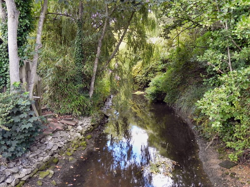 Mudeford Rocks photo 7
