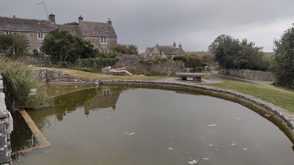 Worth Matravers Tea & Supper Room photo 2