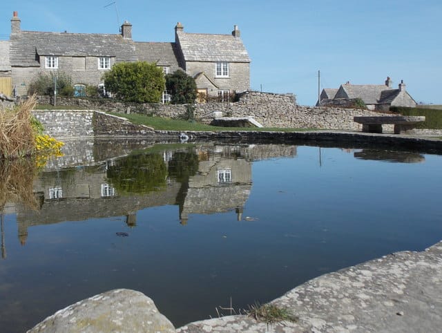 Worth Matravers Tea & Supper Room photo 4