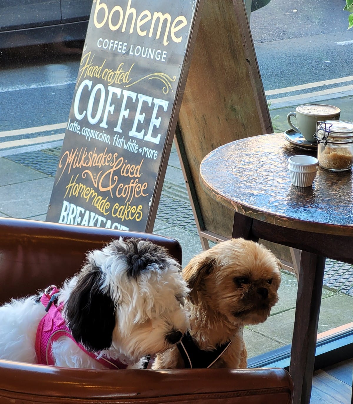 Boheme Coffee Lounge photo 3